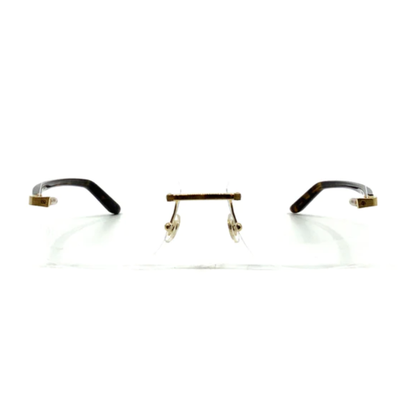 Cartier CT0216OA 003