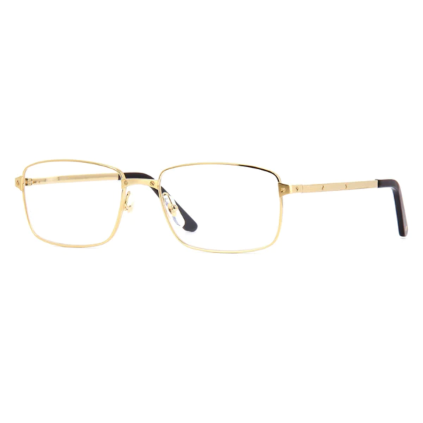 Cartier CT0204O 004