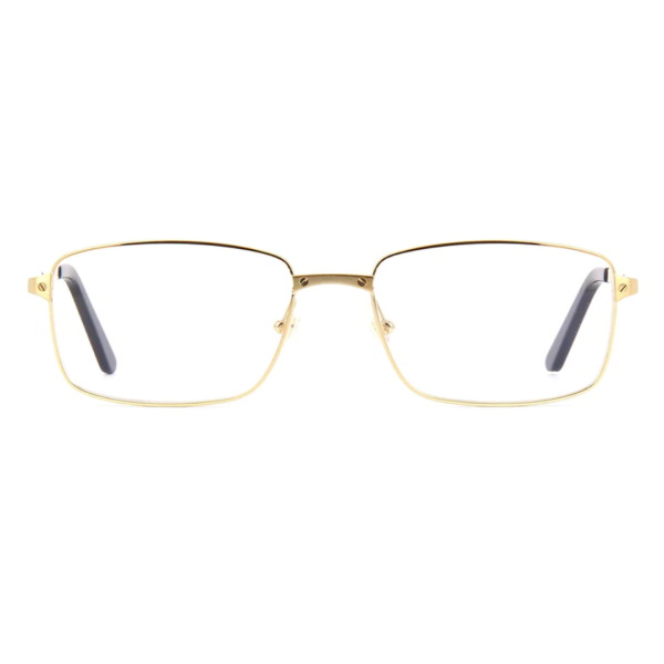 Cartier CT0204O 004