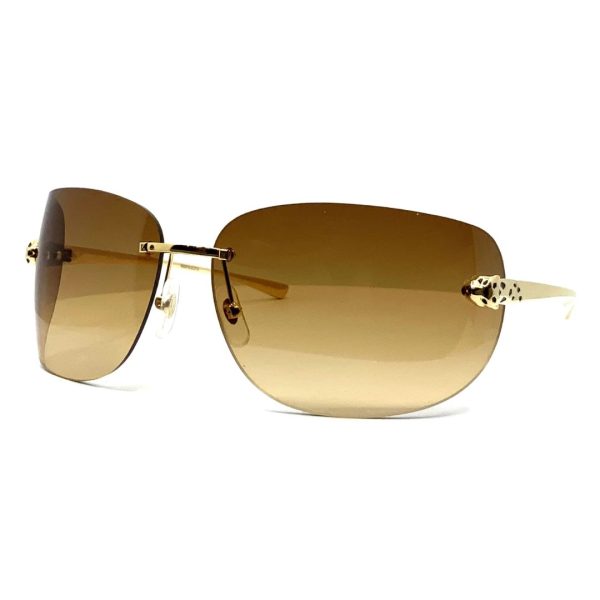 Cartier CT0266S 004