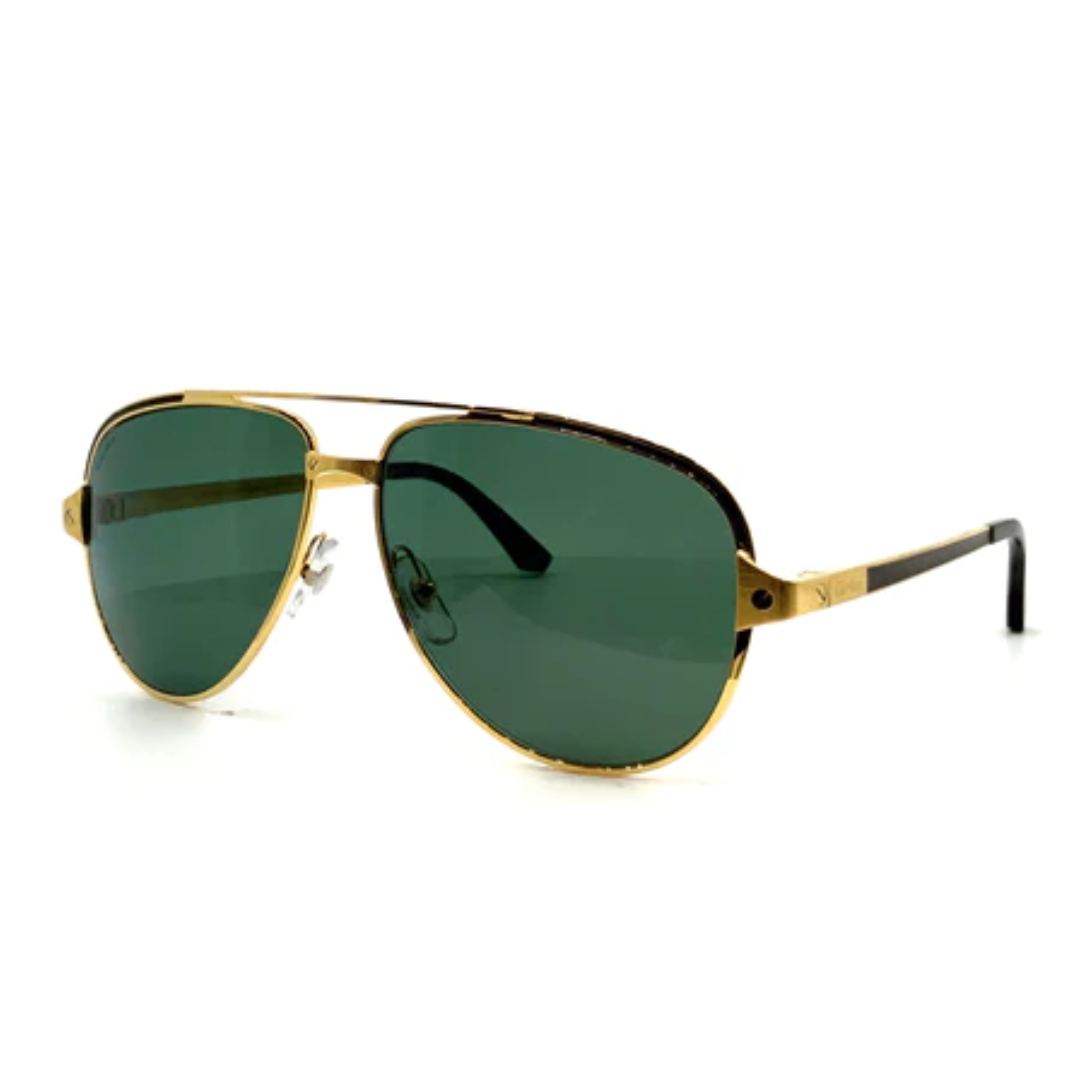 CT0192S 002 Polarised Men Sunglasses - Hovina glasses