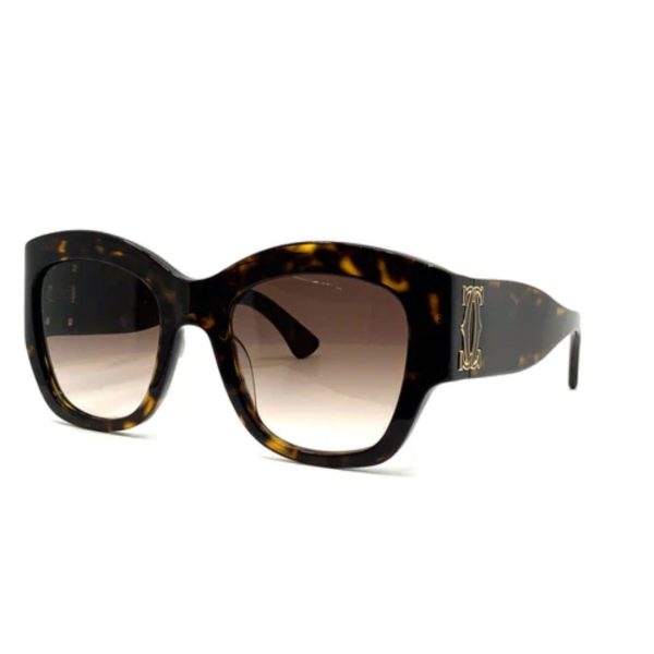 Cartier CT0304S 004