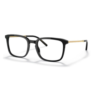 Dolce & Gabbana DG 3349 501