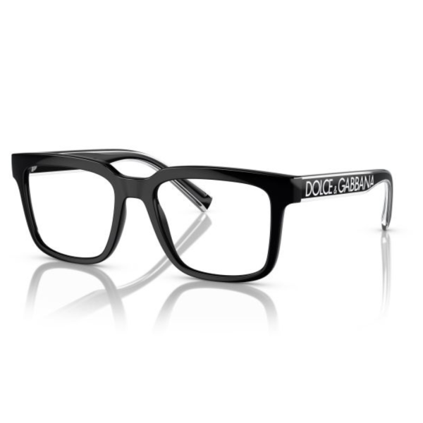 Dolce & Gabbana DG 5101 501