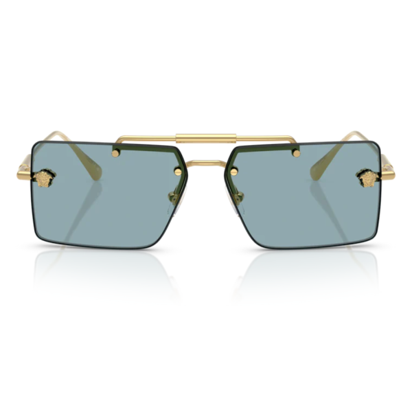 VE2245 100280 Sunglasses