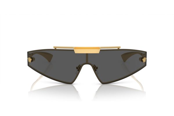 VE 2365 1002 87 3N Sunglasses