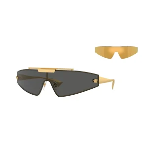VE 2365 1002 87 3N Sunglasses