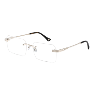 CLARY GRAY BOSTONIAN