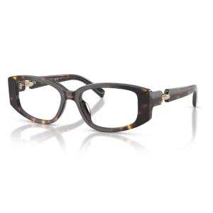 TY2161U 1981 Eyeglasses