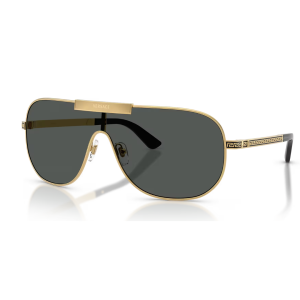 VE2293 100287 Sunglasses