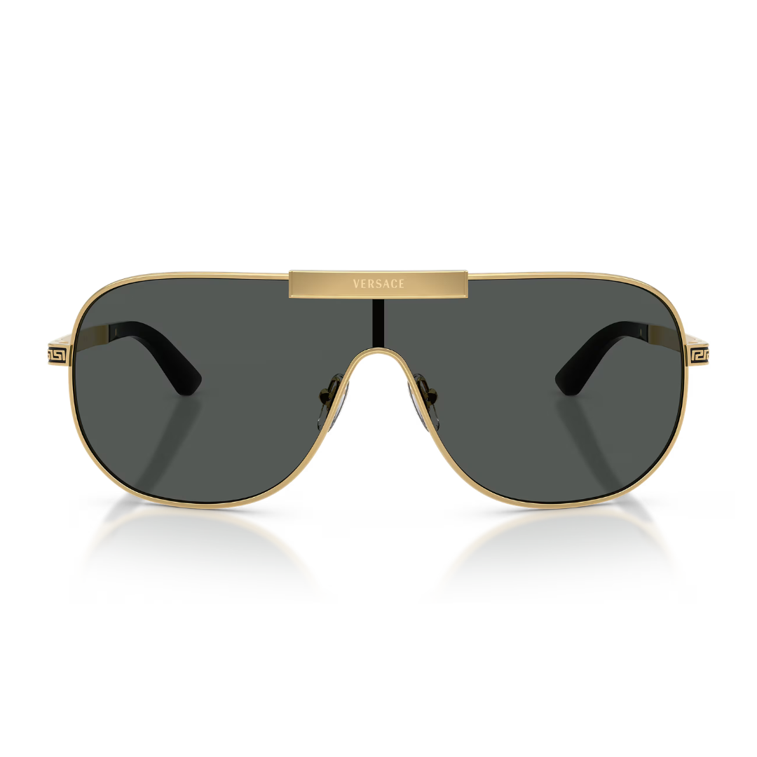 VE2293 100287 Sunglasses