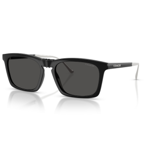 HC8455 500287 Sunglasses