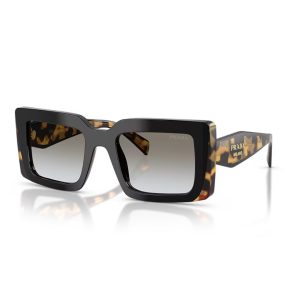 PR D01S 0CD80L Sunglasses