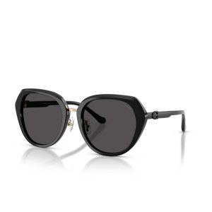 HC8436 500287 Sunglasses